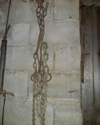 Catena per bovino da stalla