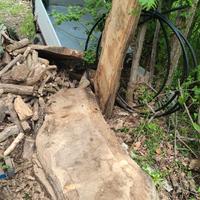 Travi in legno di rovere