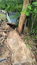 Travi in legno di rovere