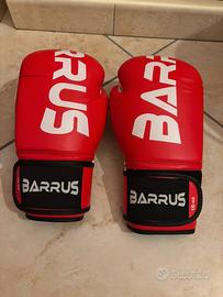 guantoni boxe