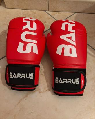 guantoni boxe