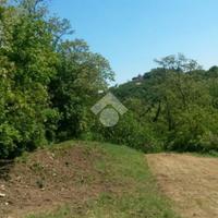 TER. AGRICOLO A TEOLO