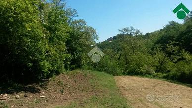 TER. AGRICOLO A TEOLO