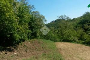 TER. AGRICOLO A TEOLO