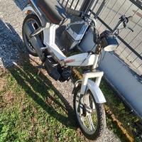 Atala idea 