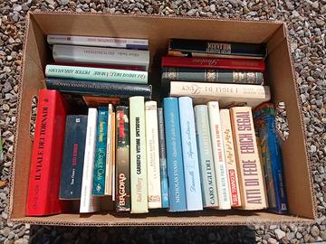 Libri e romanzi vari
