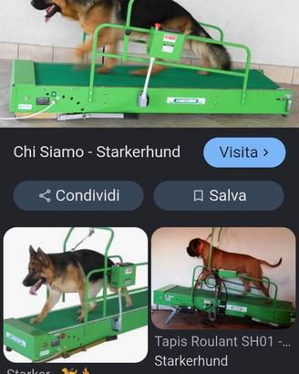 Tapis roulant per cani