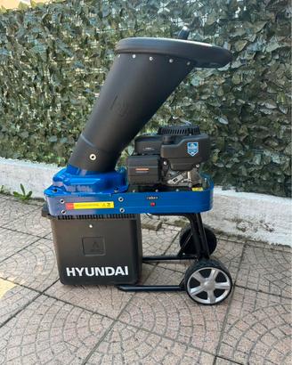 Biotrituratore a banzina hyundai