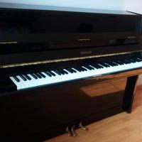 Pianoforte Viennbach