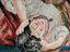 Immagine 4