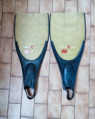 pinne nuoto 