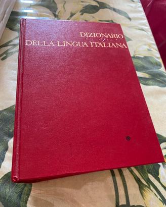 Dizionari