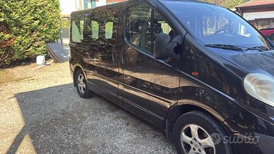 Vivaro trasporto disabili