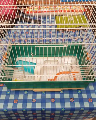 Gabbia per uccelli completa con accessori mangiato