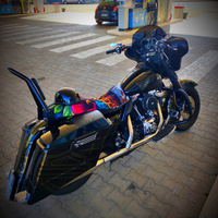 Electra glide