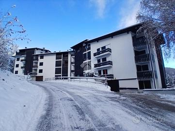 3 LOCALI A DIMARO FOLGARIDA