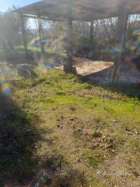 tettoia pannelli coibentati