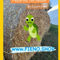 PAGLIA PER TARTARUGHE