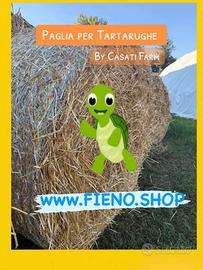 PAGLIA PER TARTARUGHE