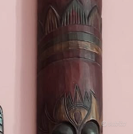 Machera Indonesiana gigante