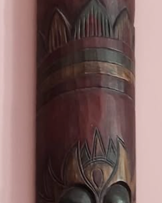 Machera Indonesiana gigante