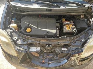 Lancia musa