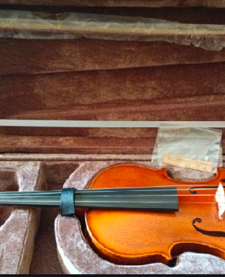 Viola 39 cm