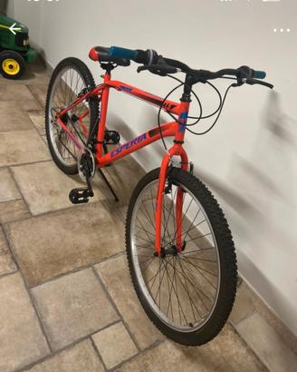 bici uomo