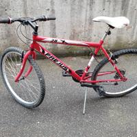 Mountain bike Frejus 