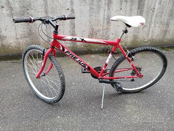 Mountain bike Frejus 