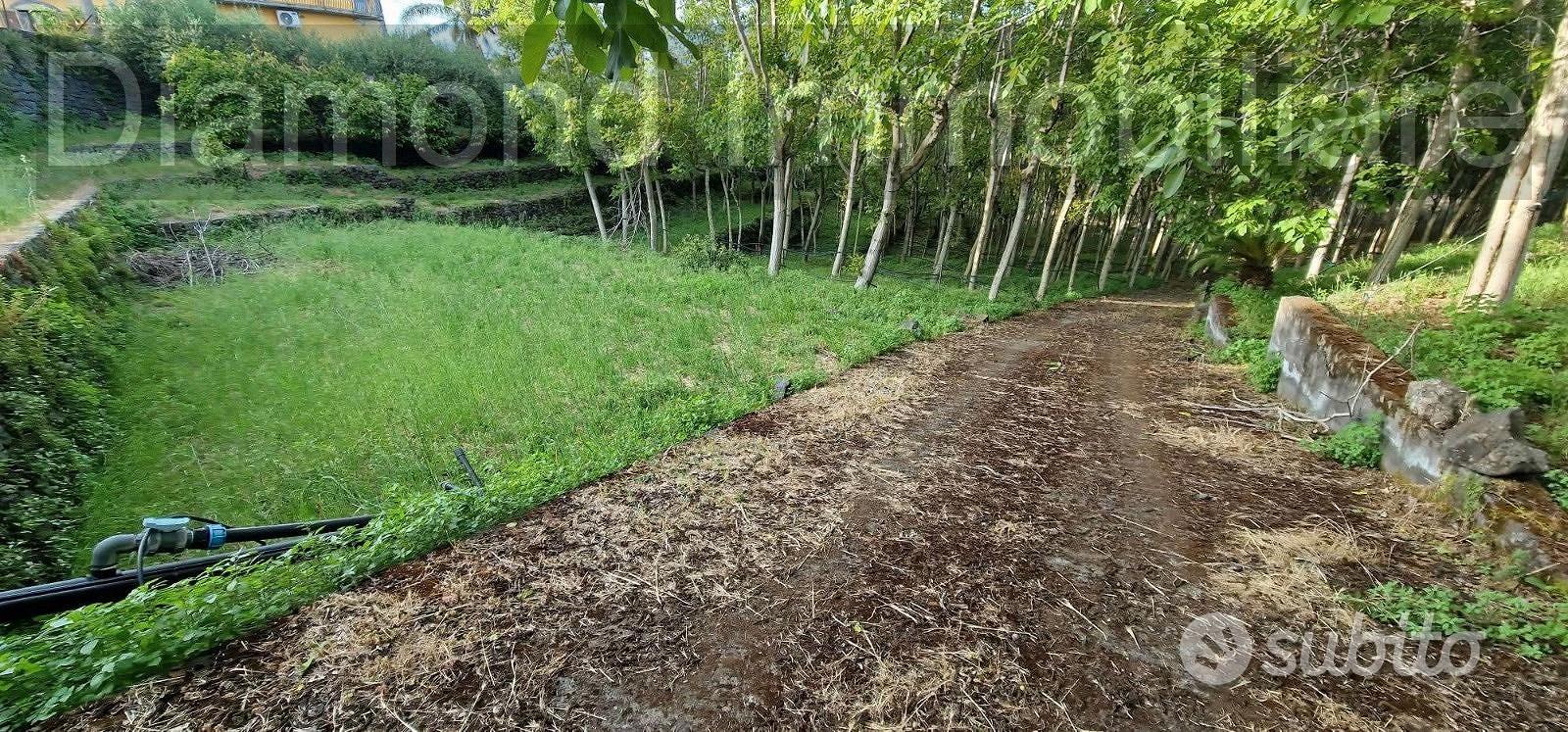 Fabbricato con terreno a Piedimonte Etneo - Vista 5