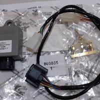 CENTRALINA VIVA 50 PEUGEOT 802855