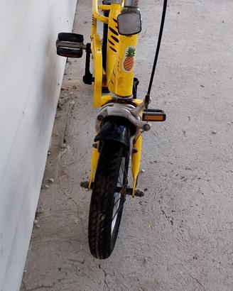 bicicletta bambino 5 anni in giù di qualità 