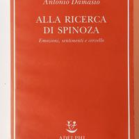 Libro Alla ricerc  di Spinoza - Antonio Damasio