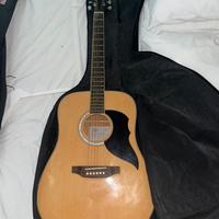Chitarra Acustica Eko