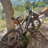 ebike