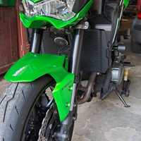 Kawasaki z900 2017