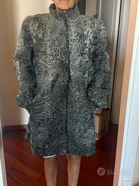 Pelliccia breitschwanz grigia