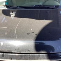 DR5 COFANO ANTERIORE