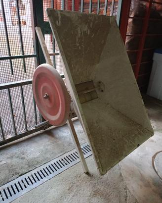 PIGIATRICE MANUALE
