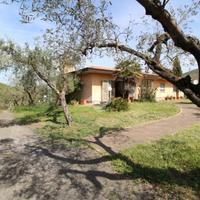 VILLA SINGOLA A SCANDRIGLIA