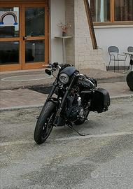 Harley 1200 roadster
