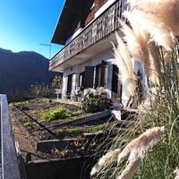 Appartamento - Lamon