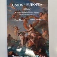 Libro Unione Europea 2020-
