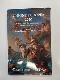 Libro Unione Europea 2020-