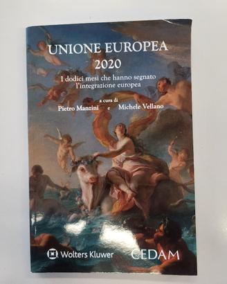 Libro Unione Europea 2020-