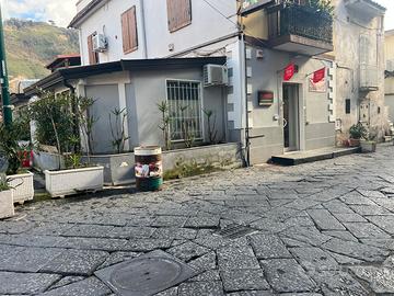 Negozio adibito ad attività commerciale