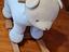 Immagine 1