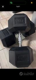 Manubri 45kg