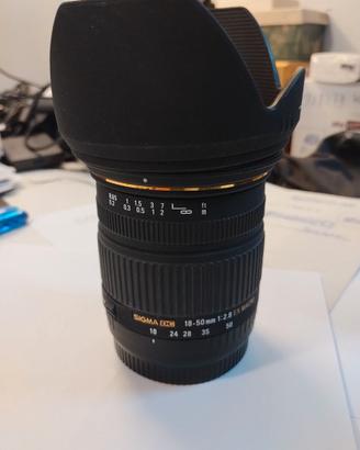 Sigma 18/50mm  f/2,8 x Canon
